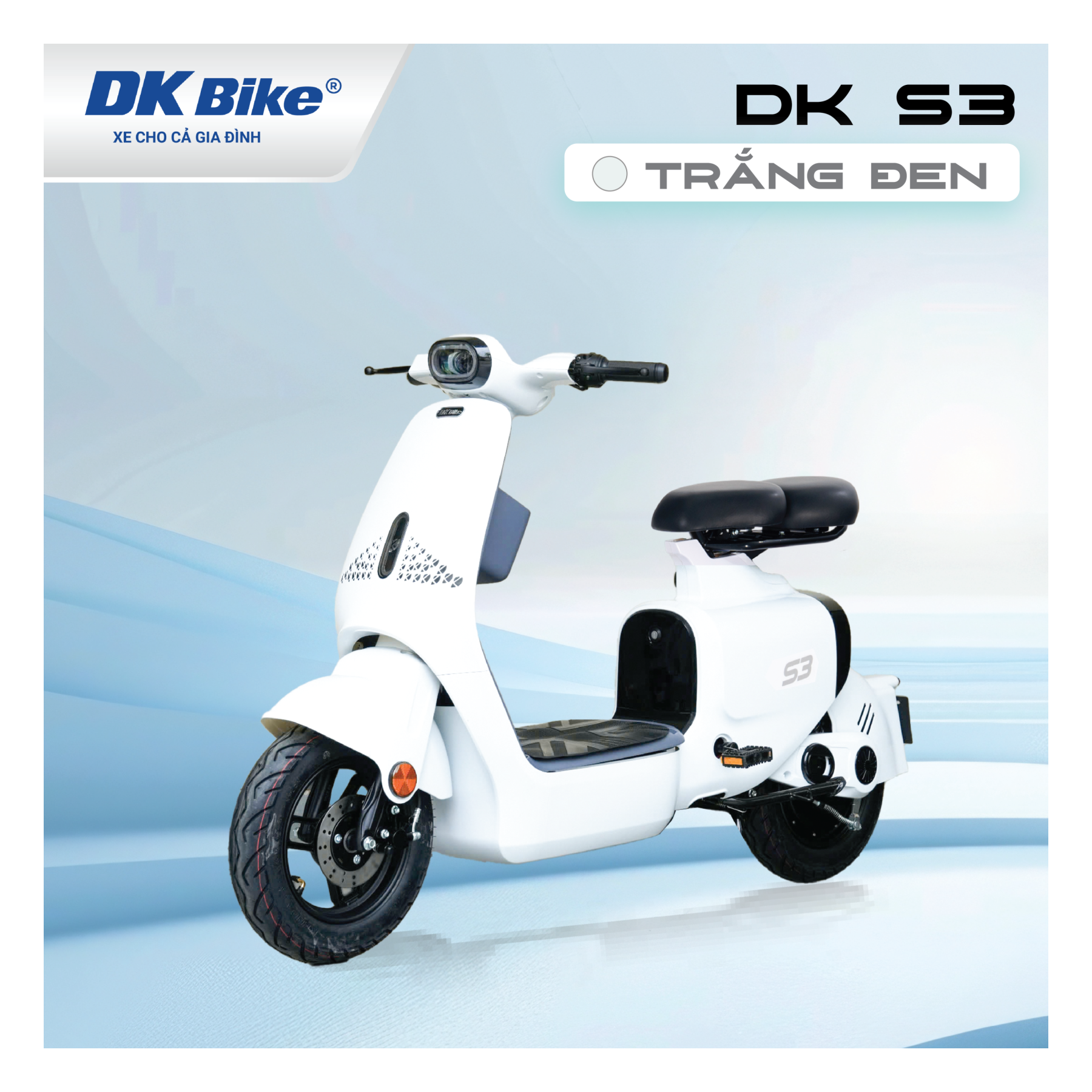 DK S3
